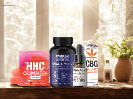 Populaire CBD Producten: Onze Bestverkochte CBD Olie bij Cannabisolie.com