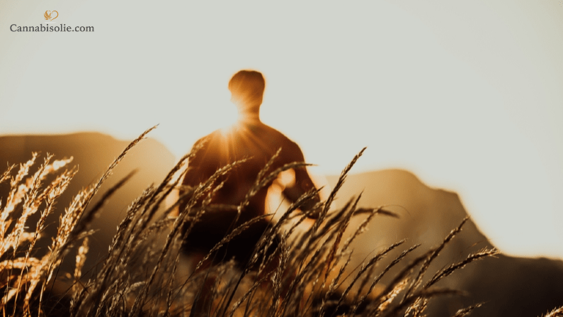 Wat is een goed merk CBD olie? Zo kies je kwaliteit die werkt