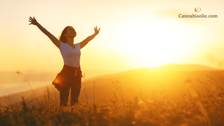 Word je High van CBD? Maken CBD producten je ‘Stoned’?