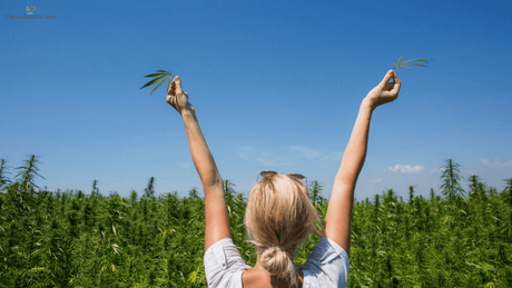 Zomerse Huidverzorging met CBD | Natuurlijke bescherming