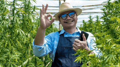 Verschillende CBD olie sterktes: 5 tips bij het kiezen