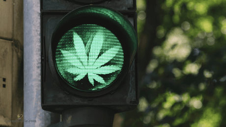 CBD olie veilig gebruiken: zo doe je dat goed