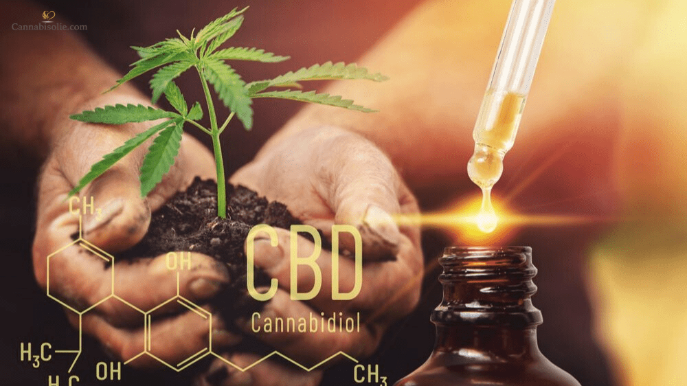 Waarom organische CBD olie de voorkeur verdient