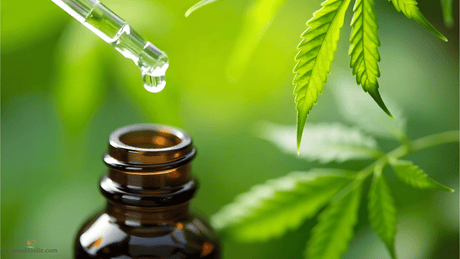 CBD olie en Overdosering: hoeveel is te veel?