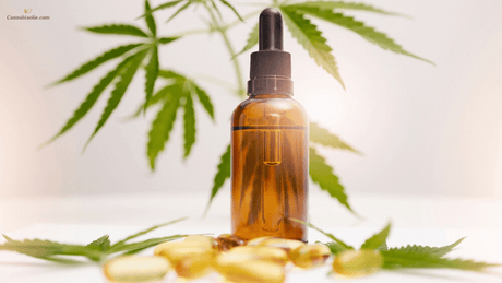 Druppelaar verstopt: Oplossingen en preventie