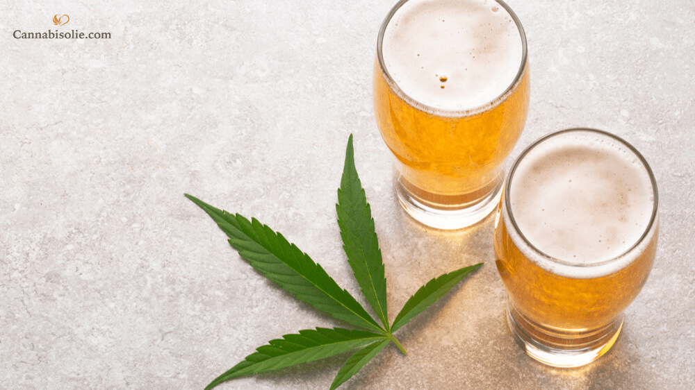 CBD olie en alcohol: Kun je ze combineren?