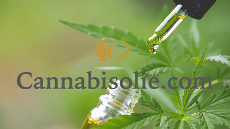 Waarom kiezen voor Cannabisolie.com?