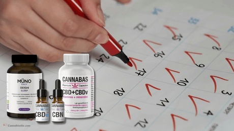 Dagelijks CBD gebruiken: olie, gummies en capsules uitgelegd