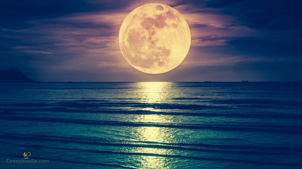 CBD Olie en de verbinding met de Maan