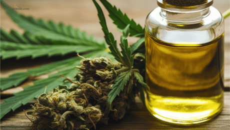 Entourage Effect: wat is het?