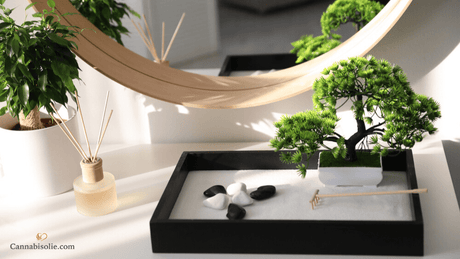 CBD olie Feng Shui: Gebalanceerde leefomgeving