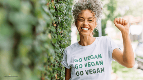 Is CBD olie geschikt voor veganisten?