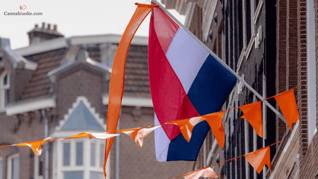 Koning Willem-Alexander & CBD: Wat we weten over koninklijk cannabisgebruik
