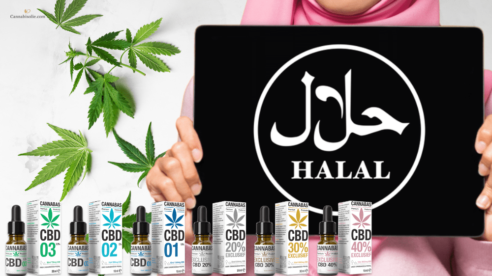 CBD olie halal