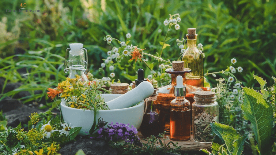 CBD olie Plantengeneeskunde