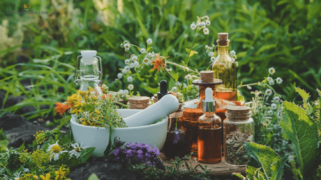 CBD olie Plantengeneeskunde