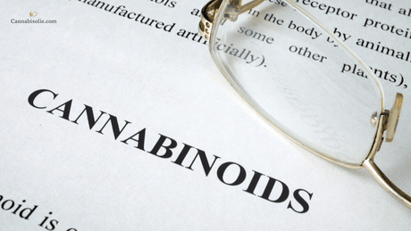 Cannabinoiden CBD olie: Wat zijn cannabinoïden?