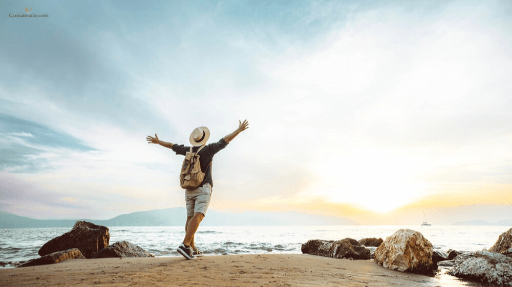 Waarom Zonlicht en CBD olie Essentieel Zijn voor je Gezondheid — Ook in de Winter