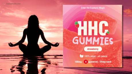 FAQ - HHC gummies | Alles wat je moet weten