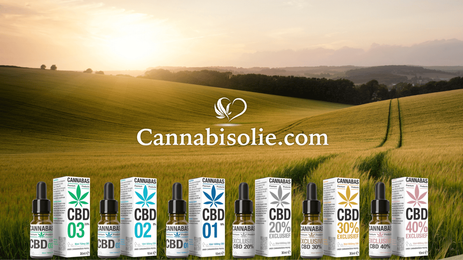 Zijn alle CBD oliën op de markt hetzelfde?
