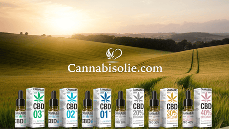 Zijn alle CBD oliën op de markt hetzelfde?