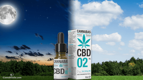 Waarom kan CBD olie 's avonds een andere werking hebben dan overdag?