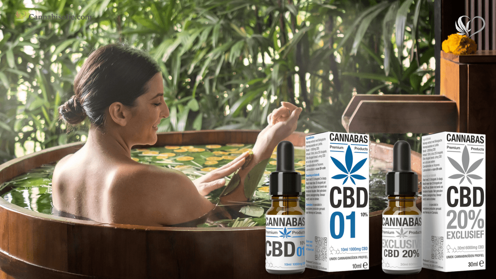 CBD olie: 10% en 20%
