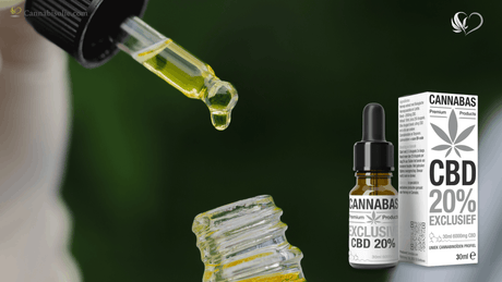 Welke Kleur behoort GOEDE CBD Olie écht te Zijn?