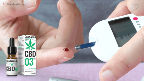 CBD olie en Diabetesmedicatie combineren: Waar moet je op letten?