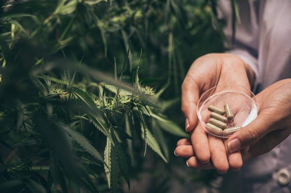 De beste CBD olie: waar let je écht op?