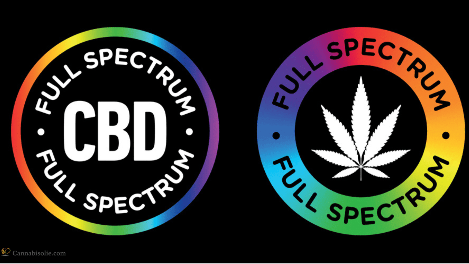 Full Spectrum CBD olie
