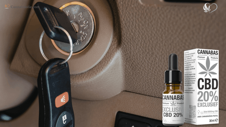 Autorijden met CBD olie – Mag het en is het veilig?