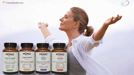 Negatief gevoel van binnen? Hoe Müno Capsules bijdragen aan meer balans