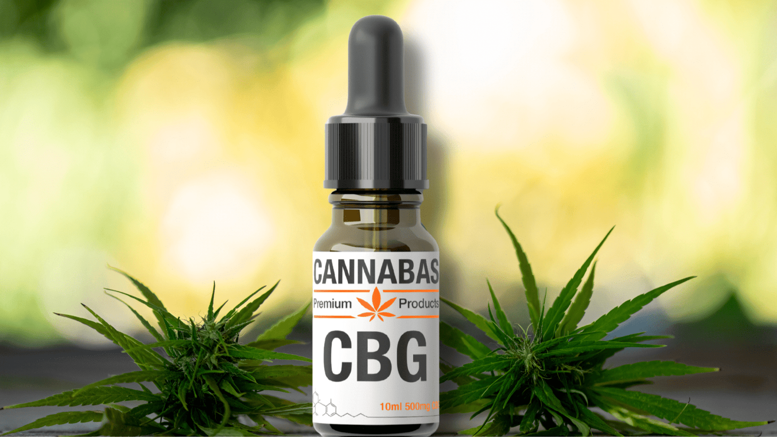 CBG (Cannabigerol) olie gebruiken: Een gids voor beginners