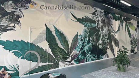 Waarom kiezen voor Cannabisolie.com?