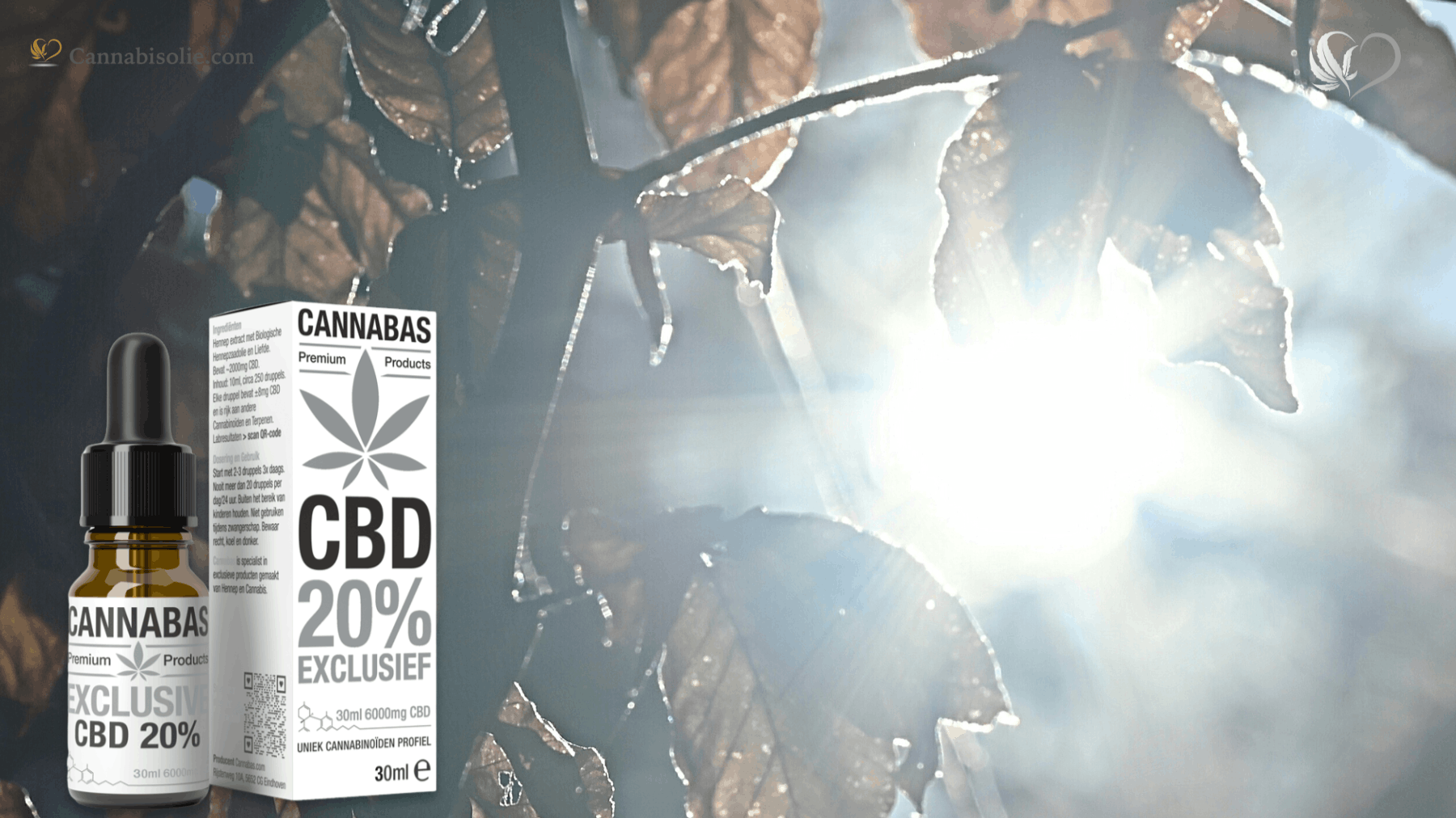 CBD olie in de zon laten staan | Cannabisolie.com