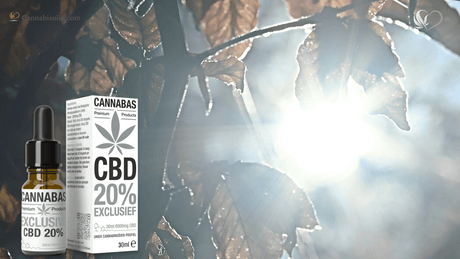 CBD olie in de zon laten staan