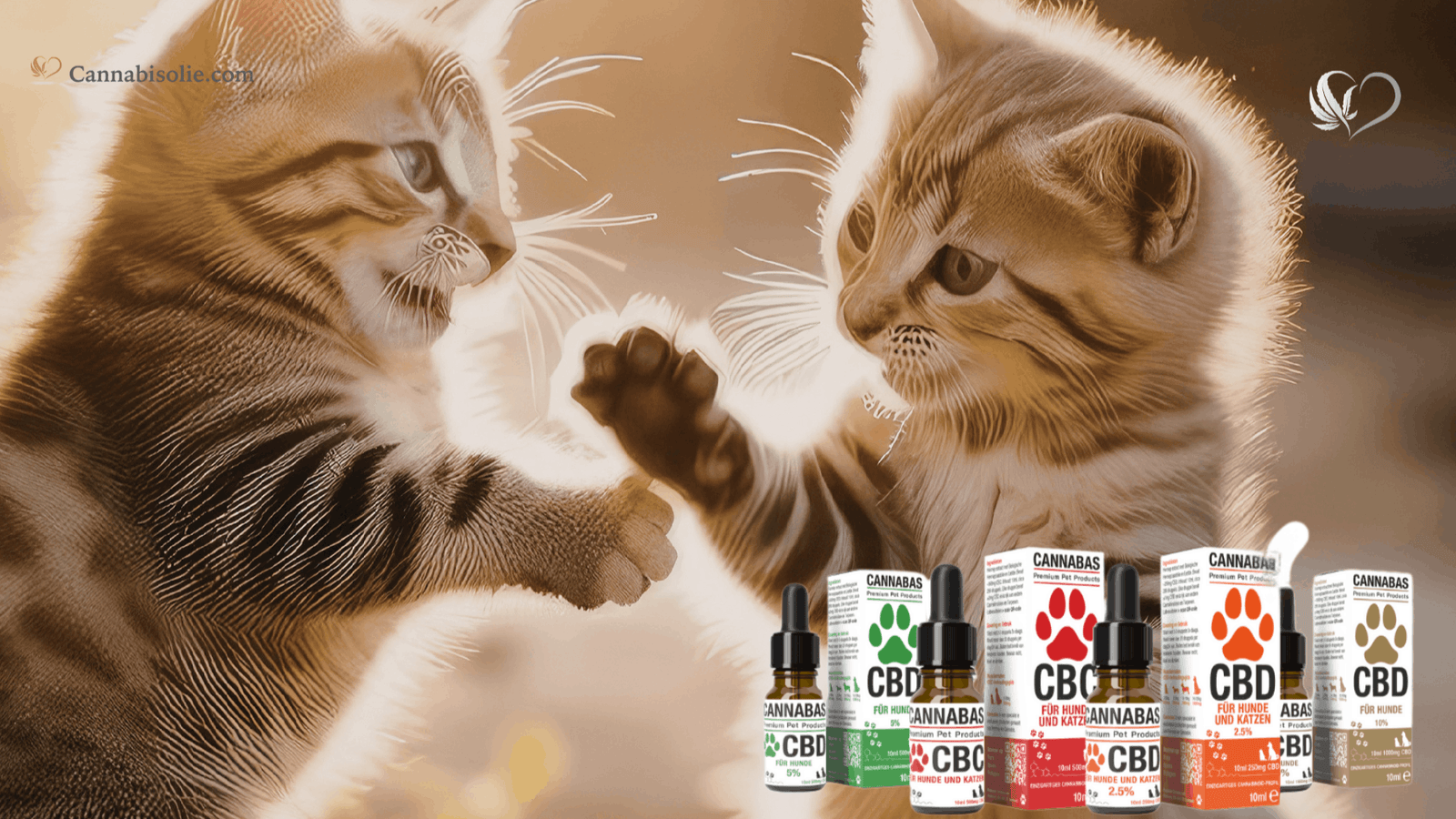 CBD Olie voor Dieren Kopen? 5 Tips om op te Letten