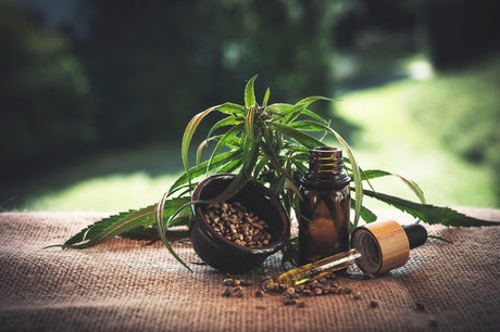druppelflesje-met-pipet-cbd-olie-cannabisplant-kommetje-hennepzaadjes