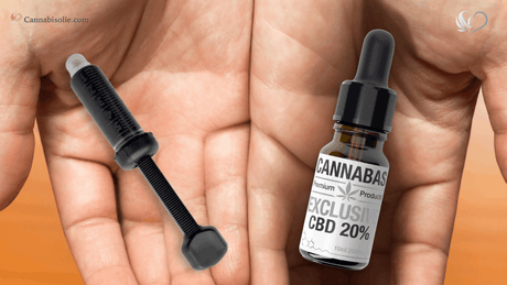 Het verschil tussen CBD olie en CBD pasta