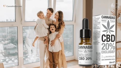 CBD olie Thuis: Een kalme sfeer thuis met CBD