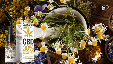 CBD olie combineren met genezende planten voor spirituele balans