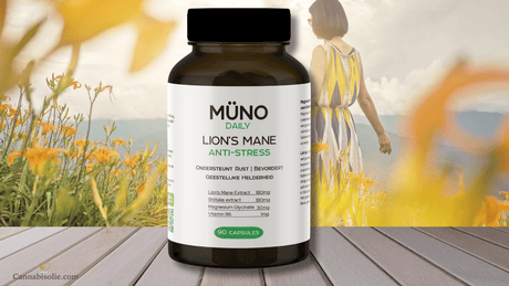 Müno Anti‑Stress capsules: Wat zijn ze en wat doen ze?