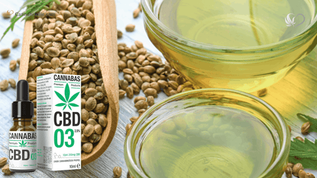 Hennepolie en Hennepzaadolie: Wat is het verschil met CBD olie?