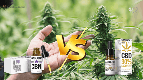 Hoe verschilt CBN olie van CBD olie?