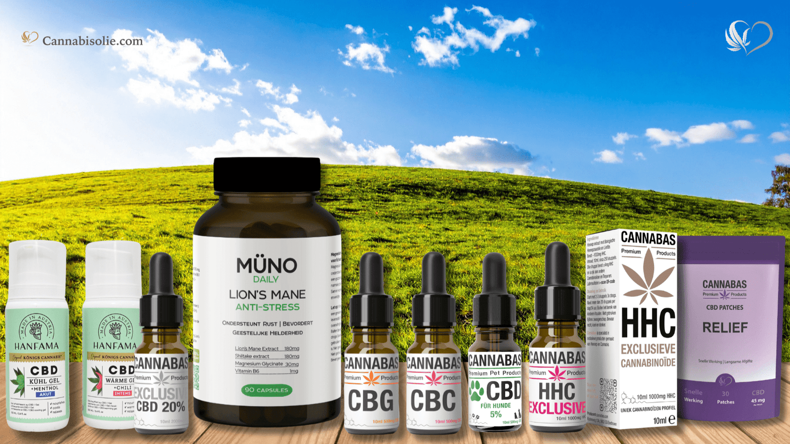 De beste CBD producten van 2025