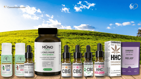 De beste CBD producten van 2025