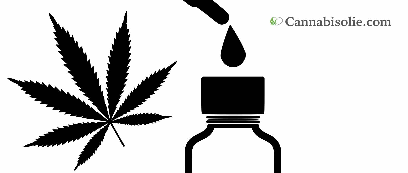 Cannabisolie kopen met THC? Lees eerst deze informatie?