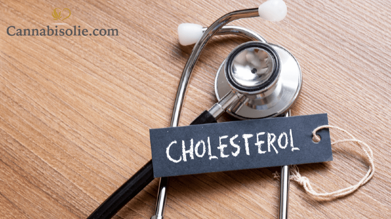 cholesterol-cbd-olie